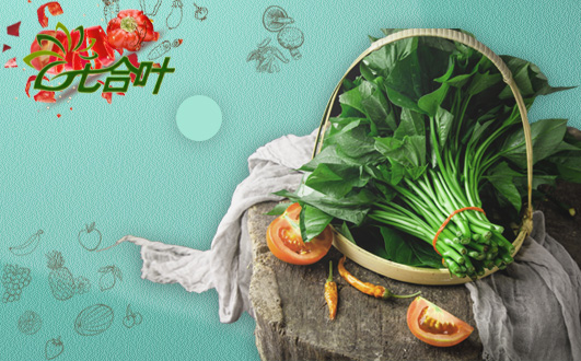 温州市鹿城区南浦七合叶果蔬店