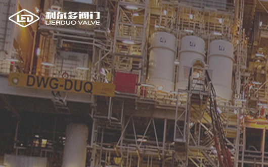 浙江利尔多阀门有限公司